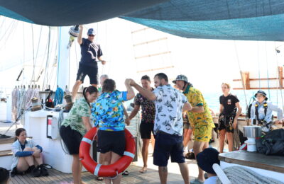 Staffies smashing it at deck games